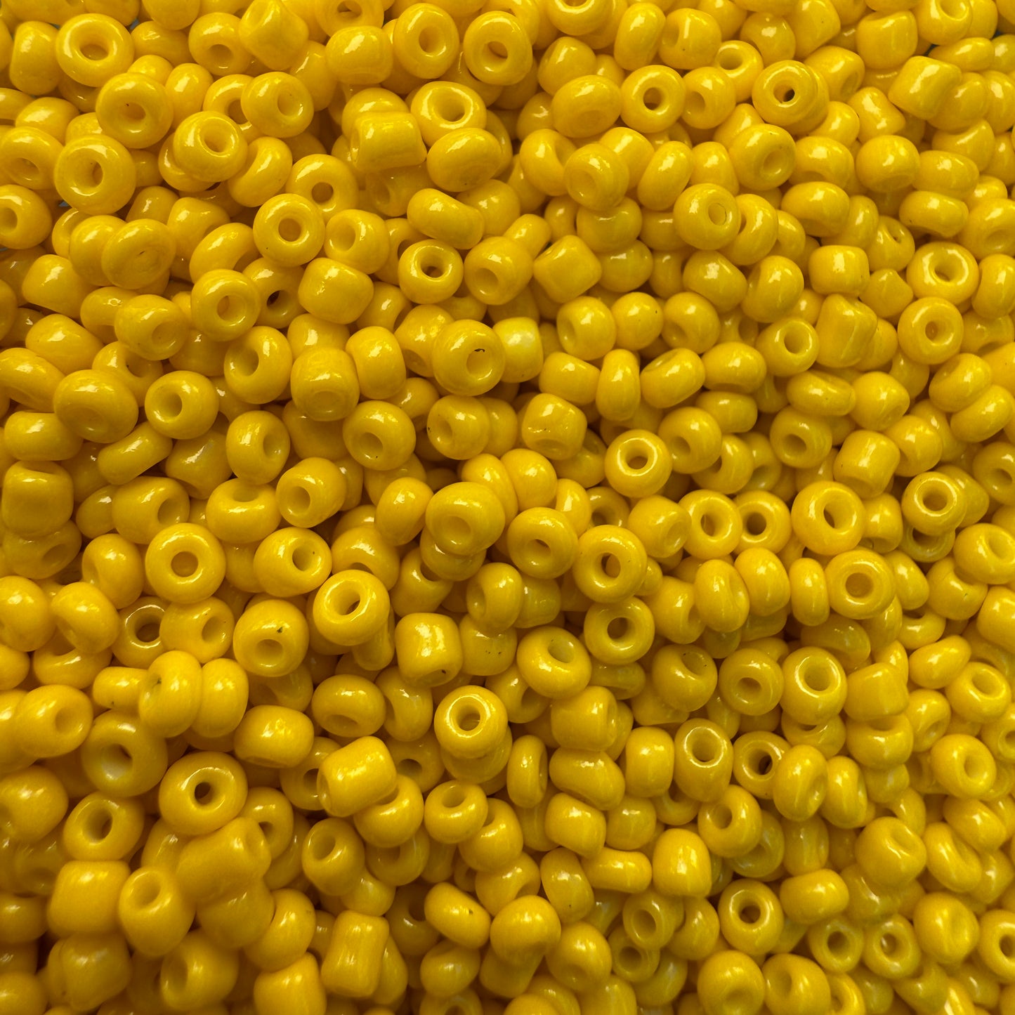 MINIMIGNON SENZA CHARMS