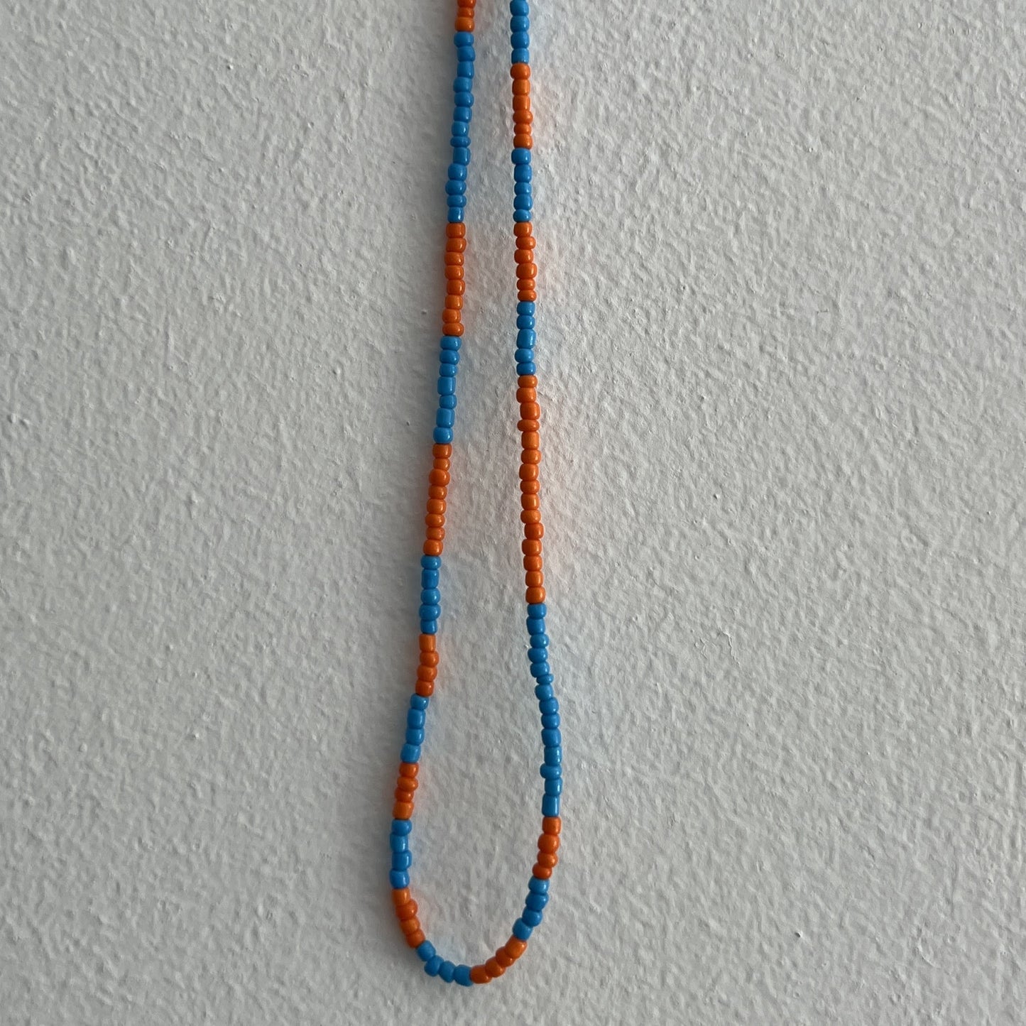 SARDINE - DUE COLORI