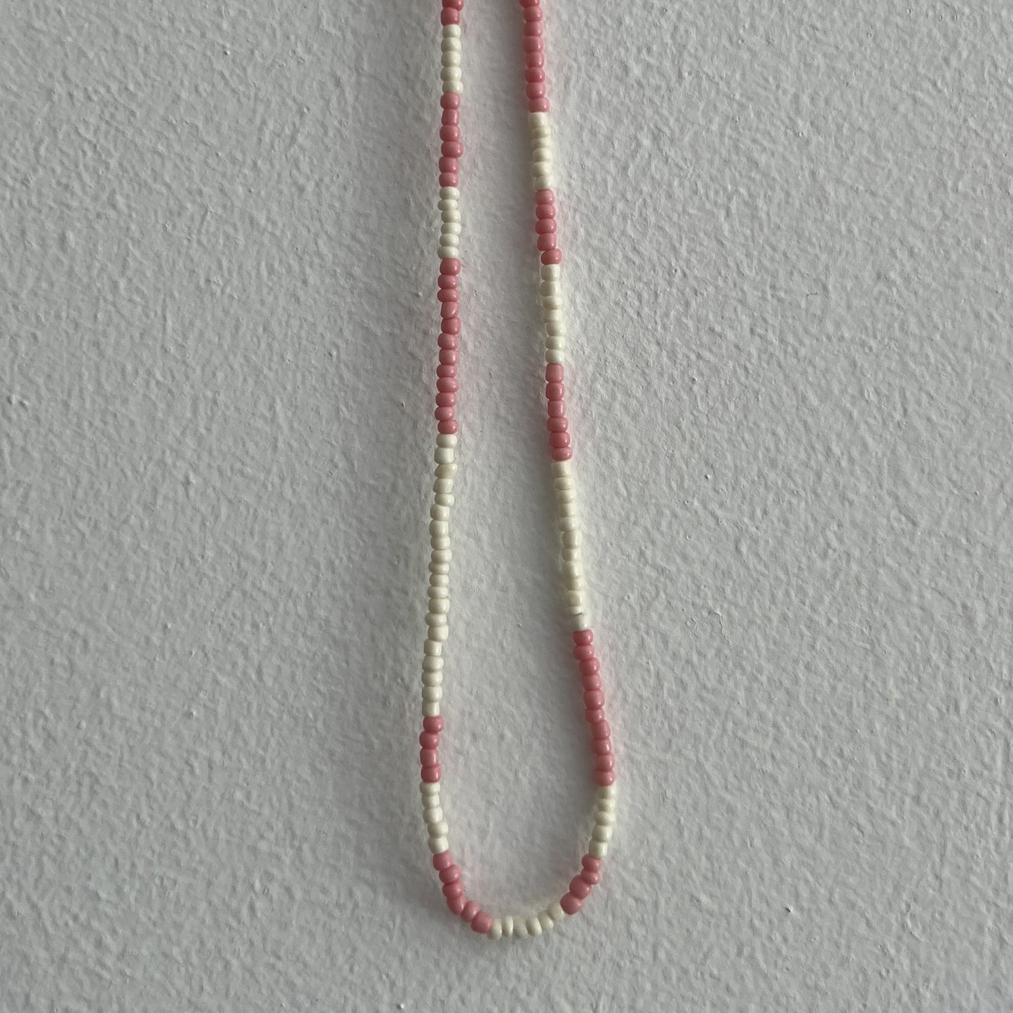 SARDINE - DUE COLORI